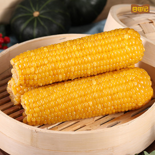 【谷田记】黄玉米260g*10支