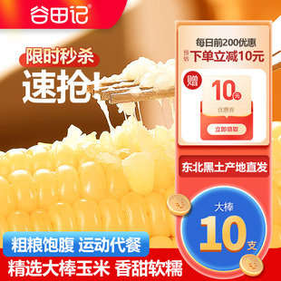 玉米新鲜糯玉米黏玉米棒白糯苞米现摘新鲜甜粘真空装早餐非即食