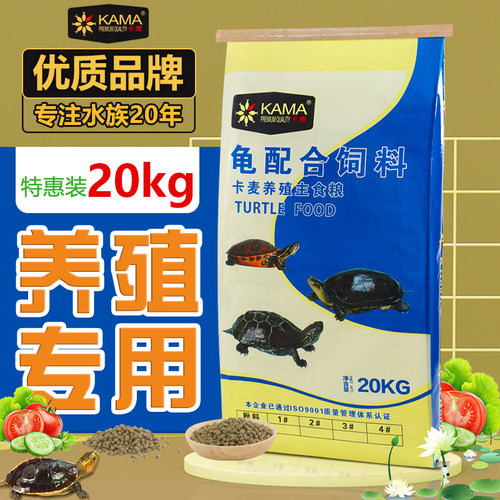 海豚养殖场龟粮石金钱龟龟饲料