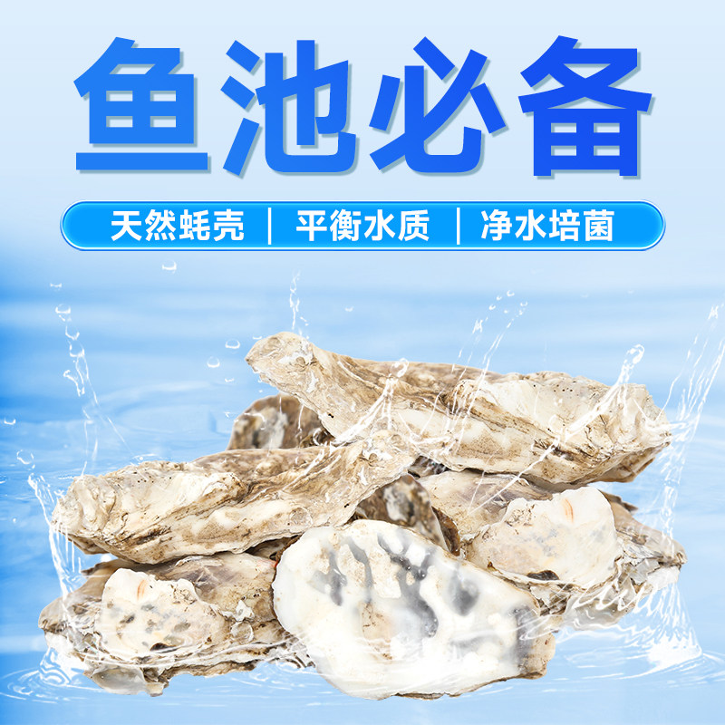 锦鲤鱼池过滤材料生蚝壳牡蛎壳增加钙质生化仓过滤仓专用过滤材料,宠物/宠物食品及用品,过滤材料,淘宝优惠券,粉丝福利购,淘宝优惠卷