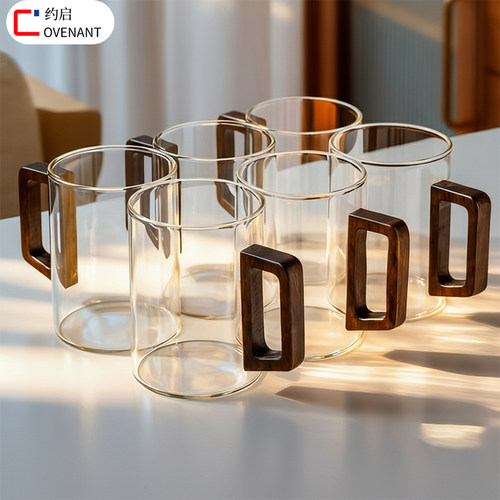 轻奢带把玻璃杯家用耐高温玻璃水杯家用客厅待客乔迁水杯水具套装