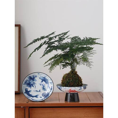 中式仿古青花苔藓球陶瓷