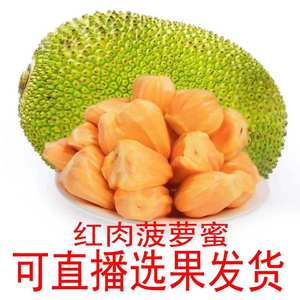 【直播红肉菠萝蜜】6-28斤海南菠萝蜜新鲜水果包邮红肉菠萝蜜