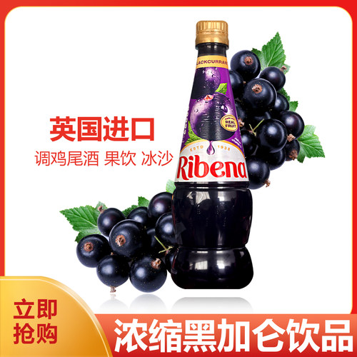 浓缩黑加仑饮品鸡尾酒气泡水适用