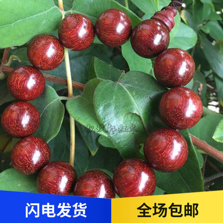 印度小叶紫檀满金星男式手串木质1.8cm12颗佛珠手链老料檀香手串