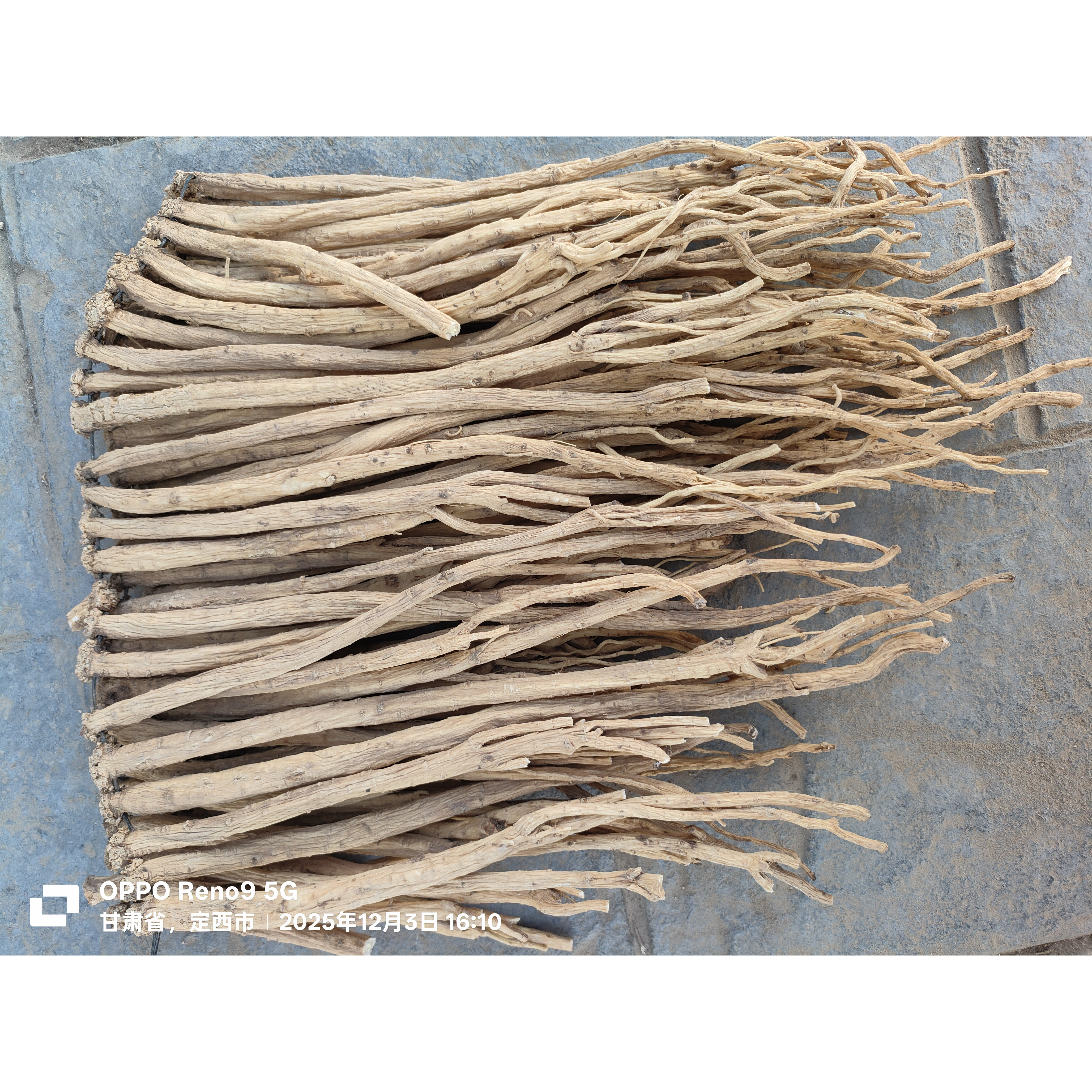 党参中药材正品甘肃岷县正宗整根陇西白条 一级党参干货批发500克
