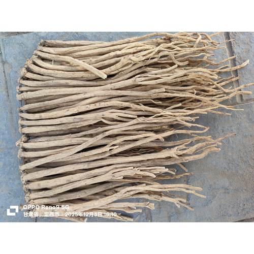 白条党参甘肃发货新鲜无硫正品