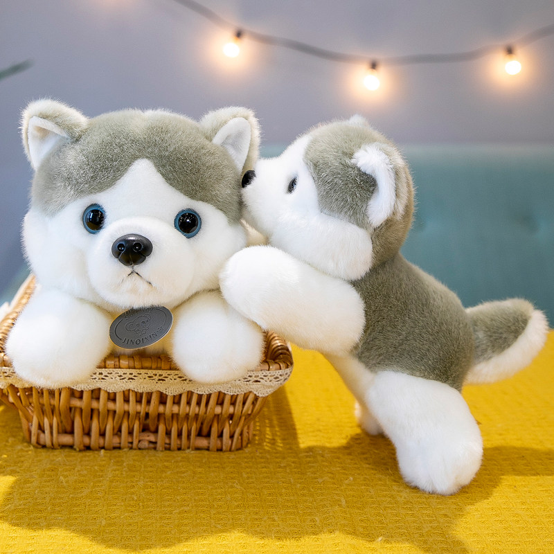 趴趴哈士奇公仔小狗狗毛绒玩具女孩超软玩偶睡觉抱二哈儿童布娃娃,玩具/童车/益智/积木/模型,毛绒/玩偶/公仔/布艺类玩具,淘宝优惠券,粉丝福利购,淘宝优惠卷