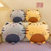 可爱卡通饼干抱枕沙发靠垫办公室午睡枕头圆形猫咪椅子靠背男女生