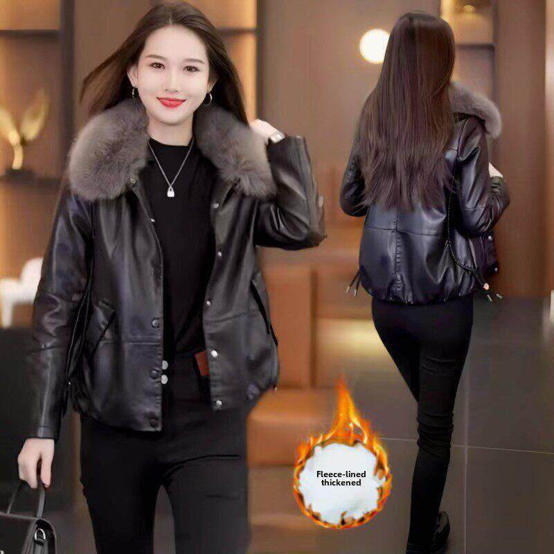 高档爆款加绒皮衣女士加厚短款外套秋冬装时尚棉服大毛领皮棉袄子