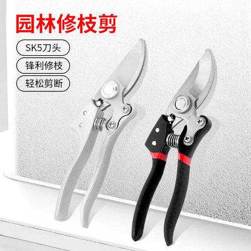 修枝剪园艺剪刀剪果树剪枝剪花SK5不锈钢树枝专用强力省力果枝剪