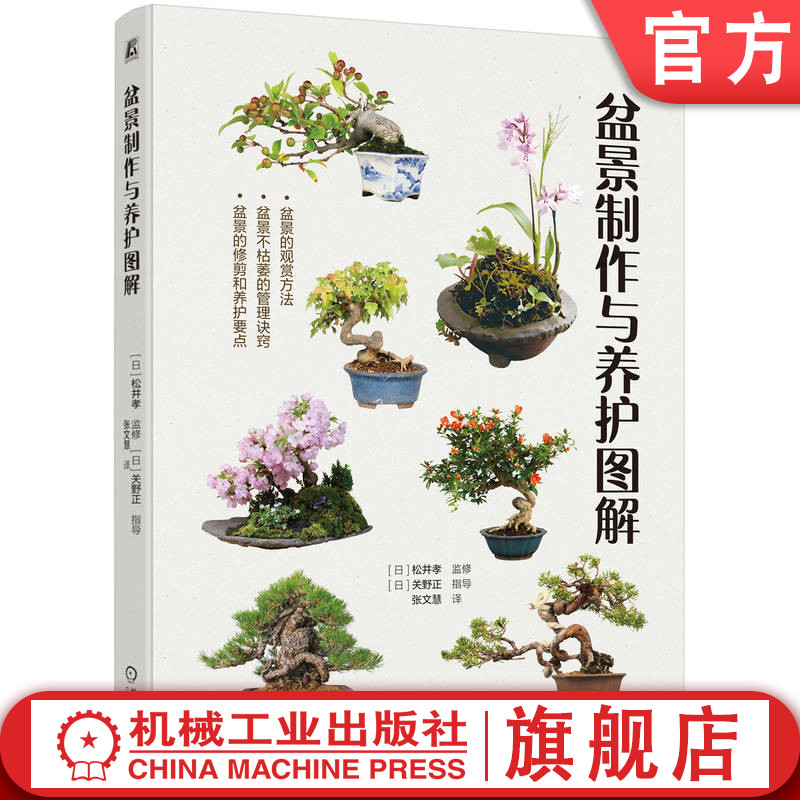 官网正版 盆景制作与养护图解 松井孝 乐趣 看点 观赏要点 松柏 黑松 东北红豆杉 日本柳杉 榉树 槭树 野山楂 日本紫茎 树形图片