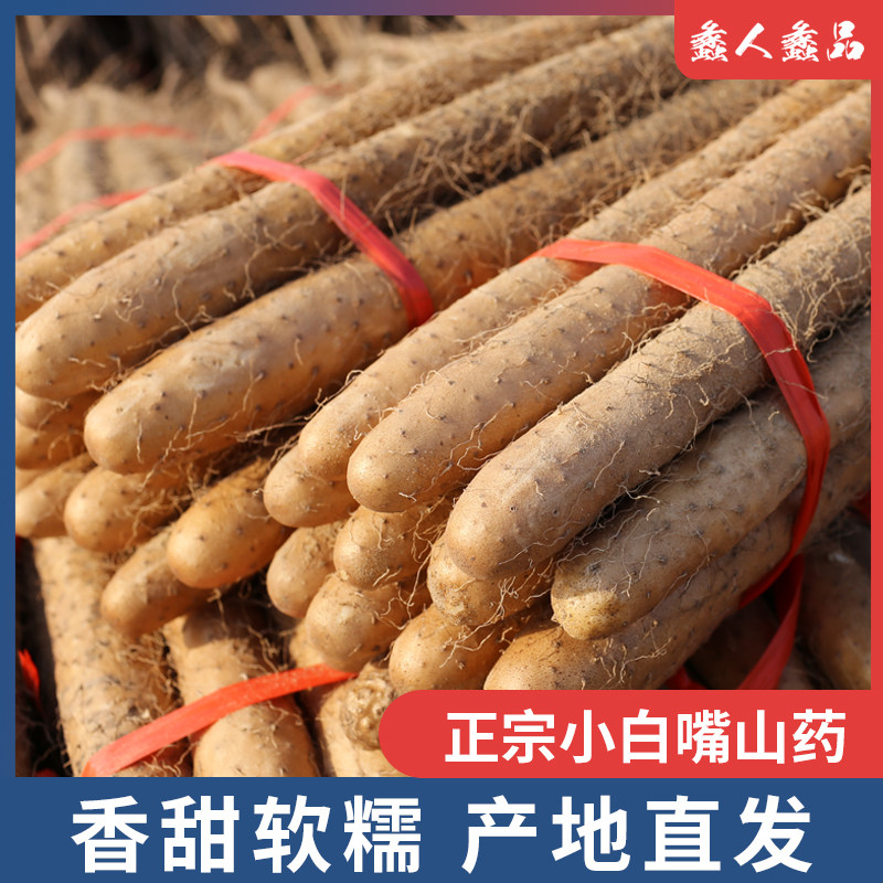 【蠡人蠡品】蠡县小白嘴山药50cm+新鲜4.5斤