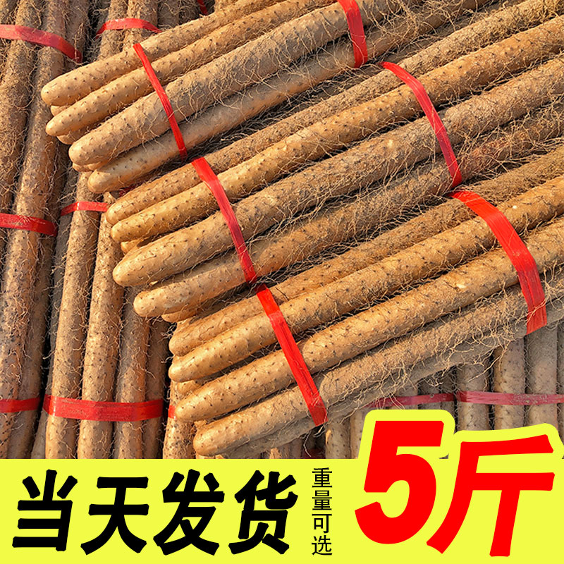 小白嘴山药新鲜5斤带箱当季蔬菜铁棍山药非温县垆土淮怀山药铁杆 水产肉类/新鲜蔬果/熟食 新鲜山药 原图主图