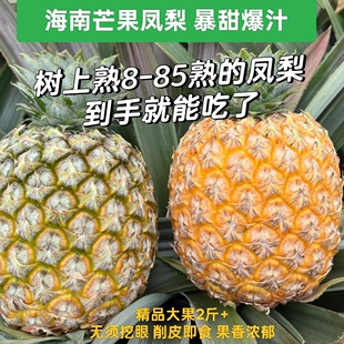 台农23号正宗树熟芒果凤梨大果当季新鲜水果产地直销收到即食