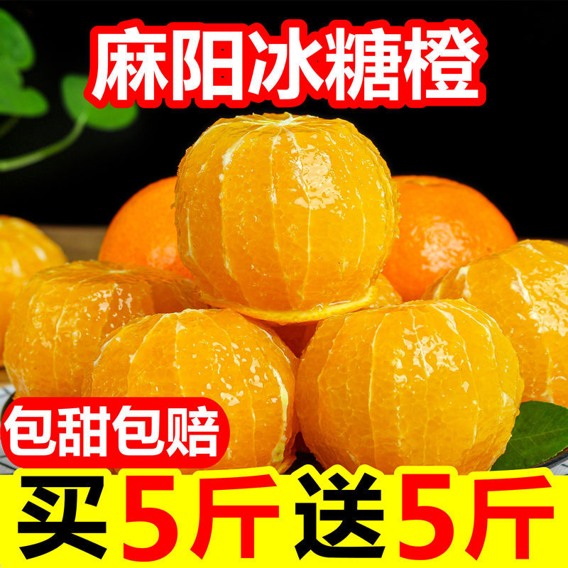 麻阳冰糖橙大果10斤包邮新鲜现摘孕妇水果手剥橙子正宗原产地橙子