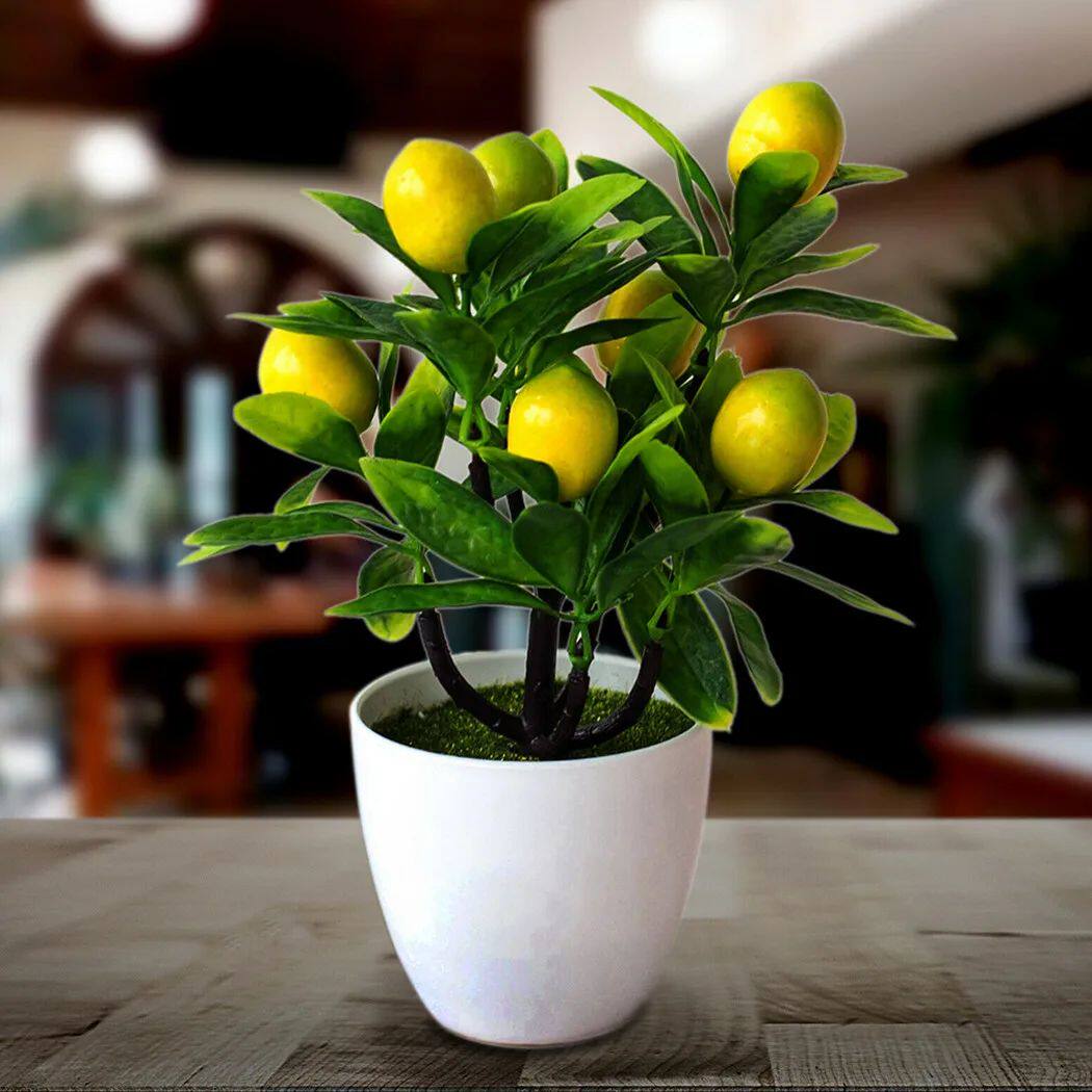 18cm*24cm Artificial Lemon Tree Potted Plastic Fake Flowers
