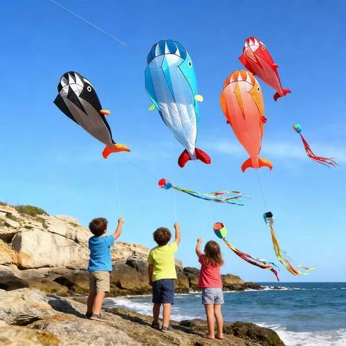 Dolphin kites flying professional wind kites nylon paraglidi