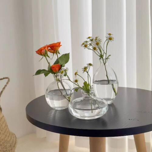 Transparent Mini Flower Vase Home Decoration Glass Hydroponi