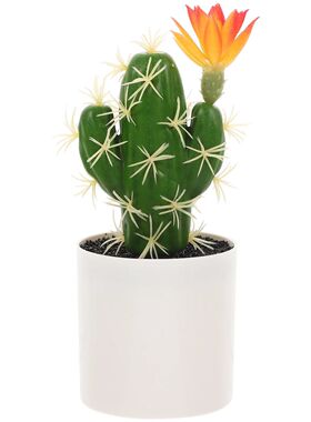 High Quality Artificial Cactus Bonsai Decorative Potted Cact