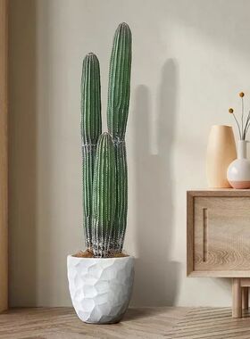 Nordic Cactus Artificial Plants Bonsai Fake Plant Creative A