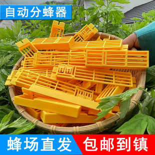 中蜂自动分蜂器防逃框多功能巢门除雄蜂带王笼防逃自动收王控制器