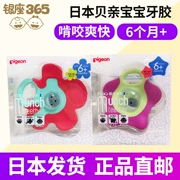 [Nhật trực tiếp thư] mua vật liệu an toàn đồ chơi cao su Pigeon / pigeon cho trẻ sơ sinh 6 tháng + - Gutta-percha / Toothbrsuh / Kem đánh răng