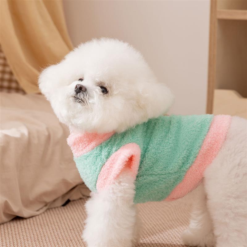 Puppies clothes are warmer than the bears winters.