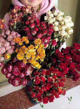 Single roses, vervas, bubbles, roses.