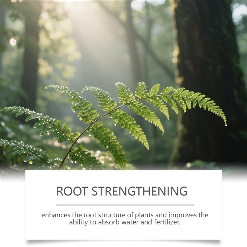 Vegetable nutrients Pulmonary urea sodium PCA root nutrient