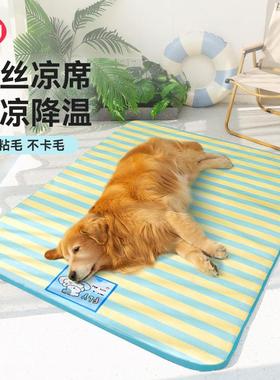 Summer-time dog-lined ice-line cold-skinned cat-to-cat cools