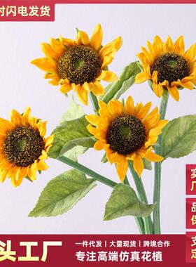 Its like sunflowers, sunflowers, INS, and were celebrating