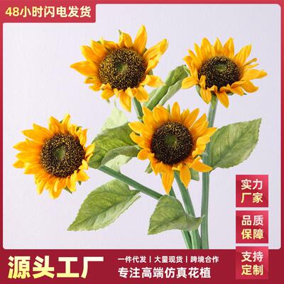 Its like sunflowers, sunflowers, INS, and were celebrating