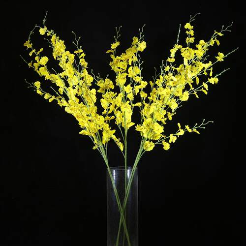 Its like a dance orchid orchid orchid orchid orchid or some