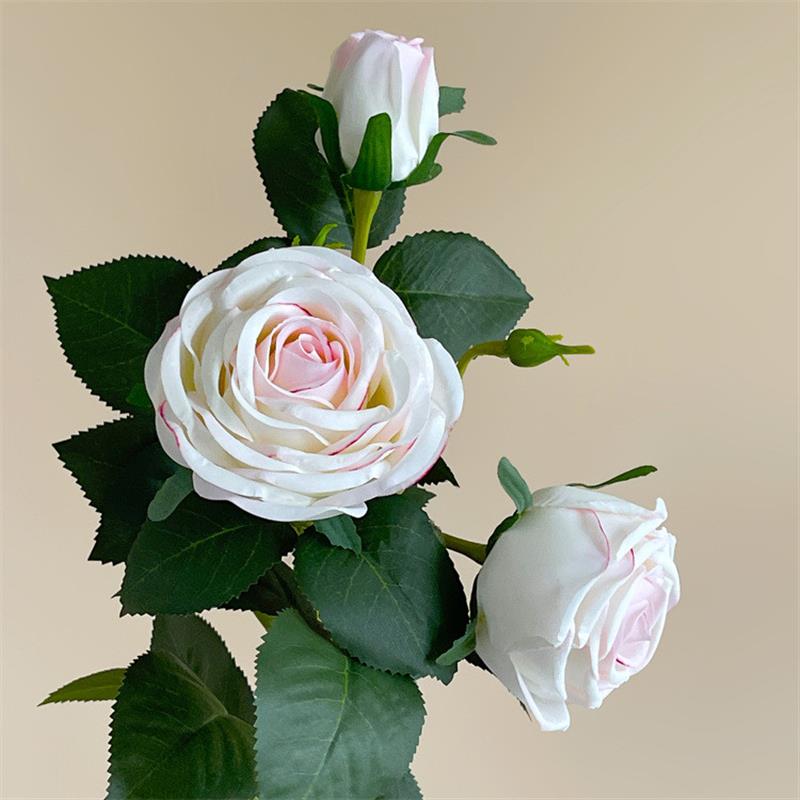 A real flower, a home with three hands to keep the roses wet