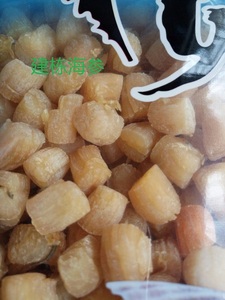 干贝扇贝淡干海货干贝丁扇贝瑶柱元贝海产干货海鲜产品特级干贝类