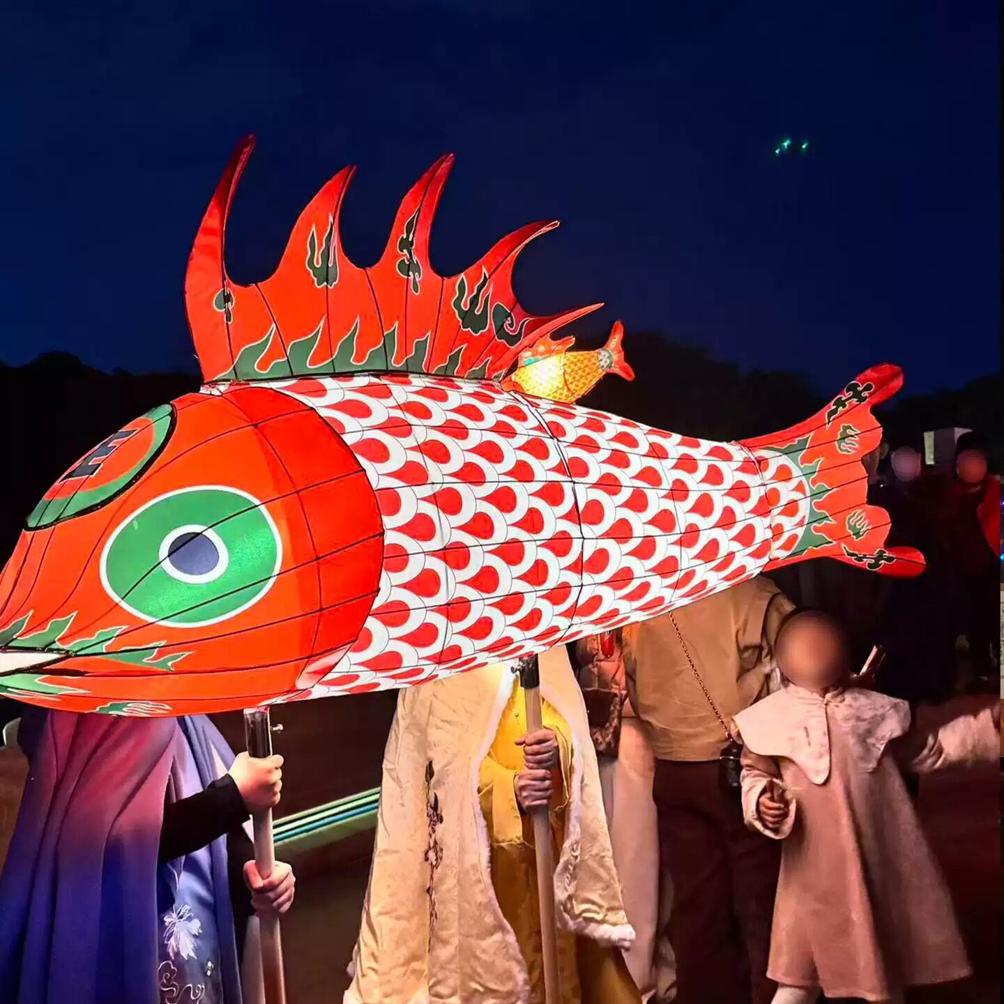 非遗巡游手举鱼灯笼景区商场户外酒店传统古风彩花灯定制彩灯灯笼