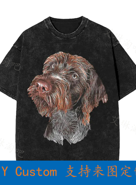 Deutsch Drahthaar German Wirehaired Pointer Vintage Oversize