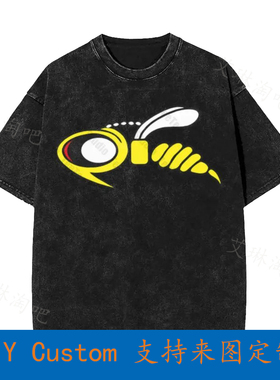 Wespe Zg 1 Zerstorergeschwader Wespen Luftwaffe Me110 Logo V