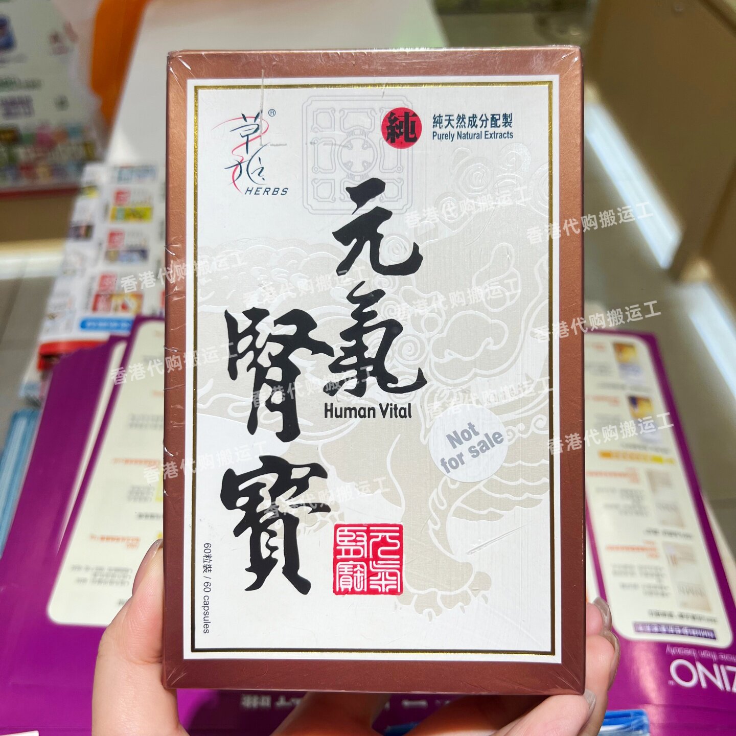 草姬元气肾宝胶囊腰酸腿软免疫力