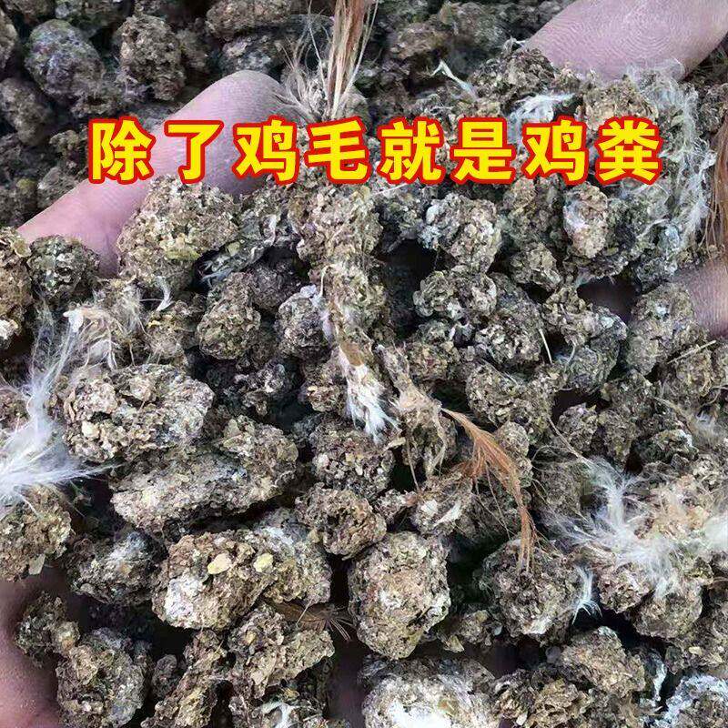 纯干鸡粪块农家肥纯天然