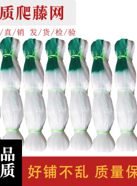 厂家直发爬藤网攀爬网撑果网豆角丝瓜苦瓜黄瓜架百香果柑橘网专用