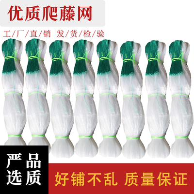 厂家直发爬藤网攀爬网撑果网豆角丝瓜苦瓜黄瓜架百香果柑橘网专用