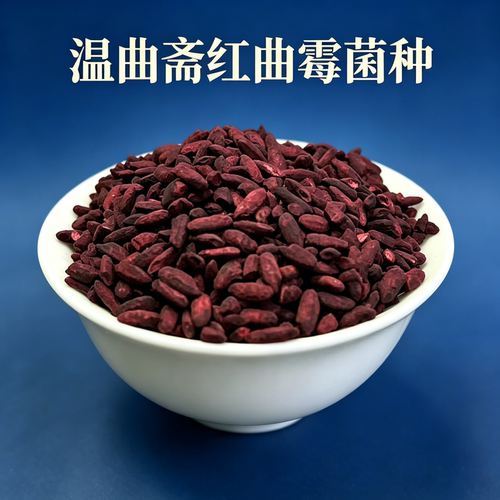 红曲霉菌曲种黄酒红曲米菌种曲公