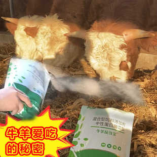 反刍宝牛羊快速催肥猪肥大牛羊不爱吃增重开胃助消化挑厌食