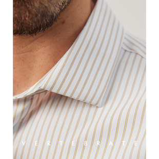 休闲商务衬衣 长袖 脊椎动物男装 莱赛尔纤维天丝抗皱小方领条纹衬衫