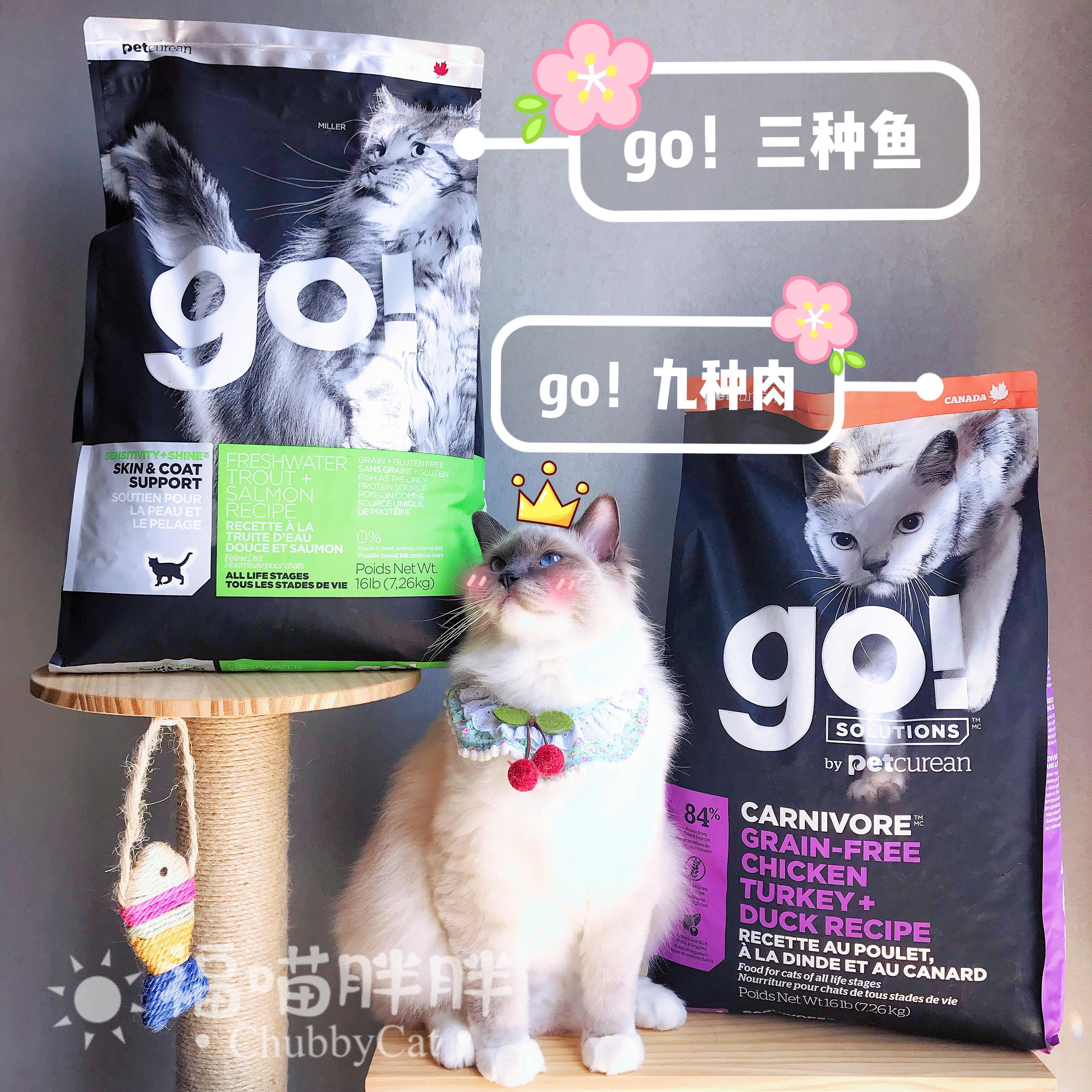 Petcurean加拿大全猫粮