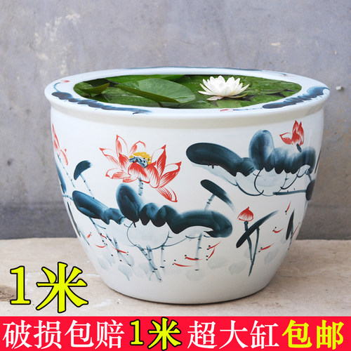 景德镇陶瓷鱼缸一米养碗莲盆庭院