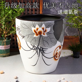 景德镇陶瓷养鱼缸大号庭院荷花水缸客厅书房摆件书画卷轴缸加高款