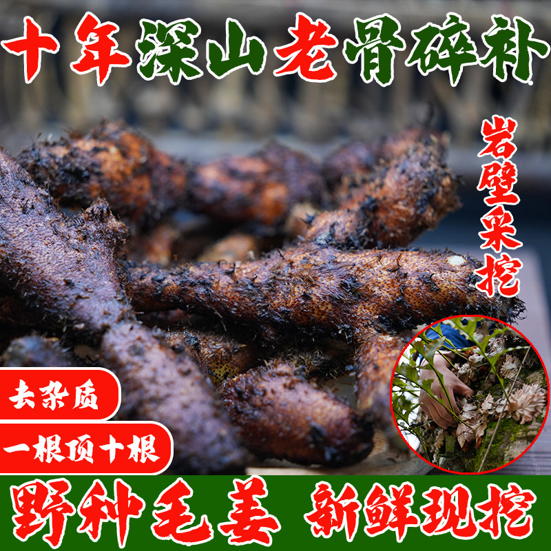 骨碎补新鲜云贵川深山毛姜爬岩姜猴姜接骨跌打损伤中药材崖姜泡酒
